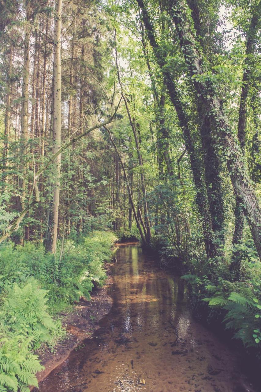 Landhuisjes Bij De Wouterbron Opglabbeek Bagian luar foto