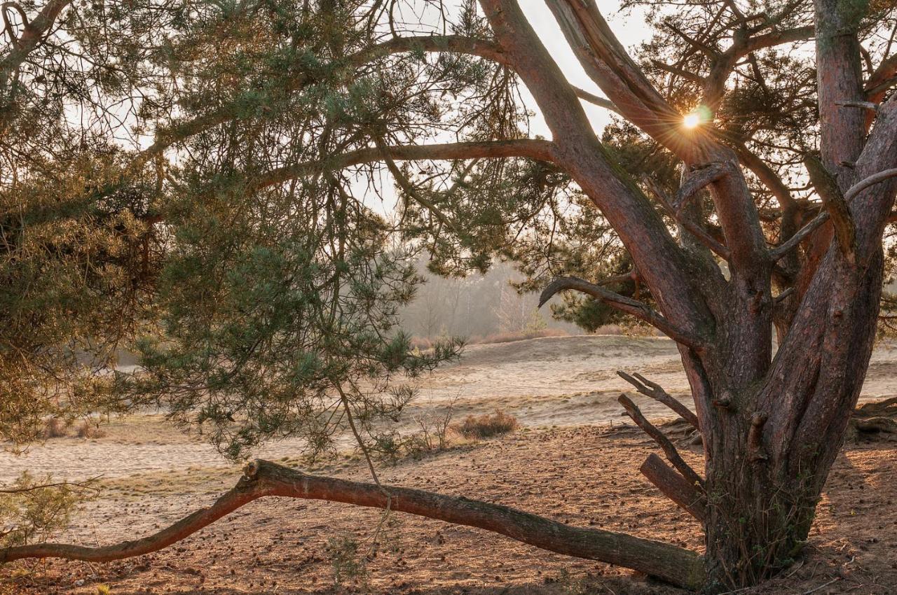 Landhuisjes Bij De Wouterbron Opglabbeek Bagian luar foto